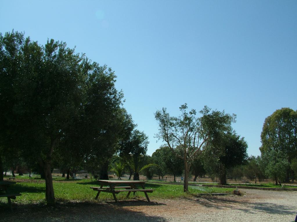 Agriturismo Terra D'Ulivi Porto Cesareo Quarto foto