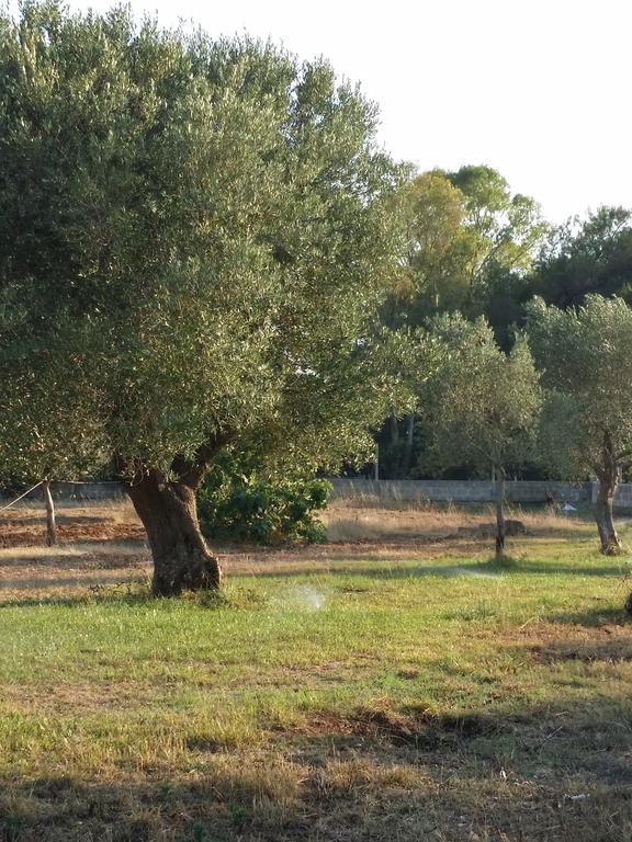 Agriturismo Terra D'Ulivi Porto Cesareo Exterior foto