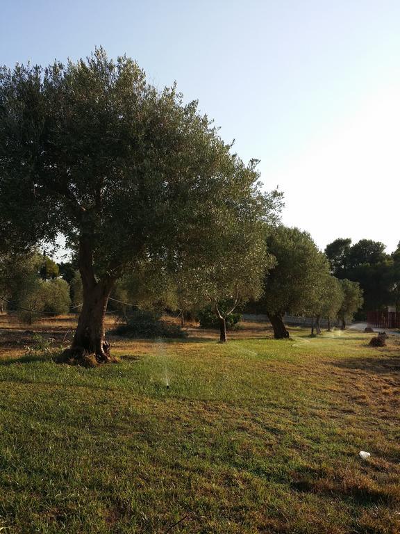 Agriturismo Terra D'Ulivi Porto Cesareo Quarto foto
